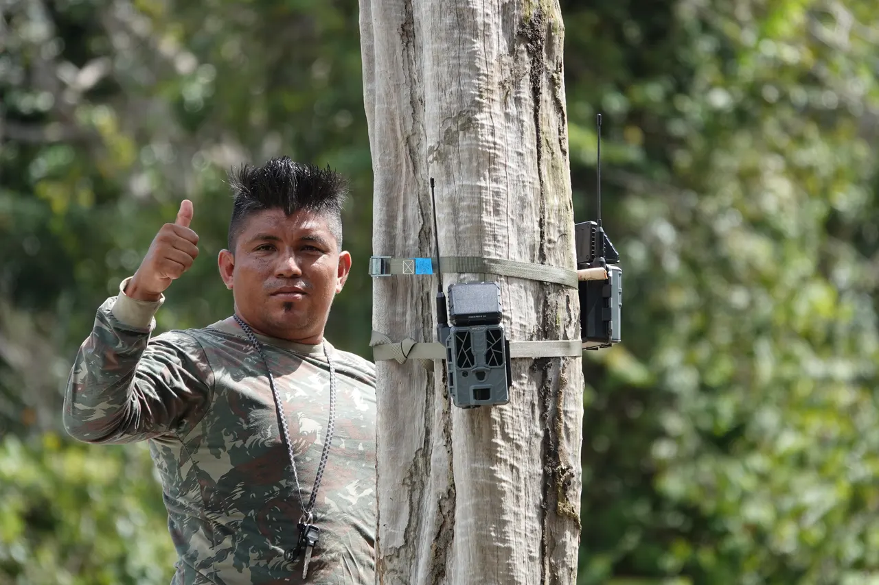 Real-time monitoring of illegal logging in the Amazon