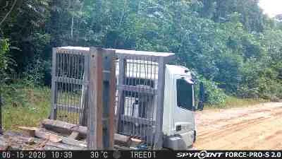Real-time AI detection of a vehicle entering the protected area