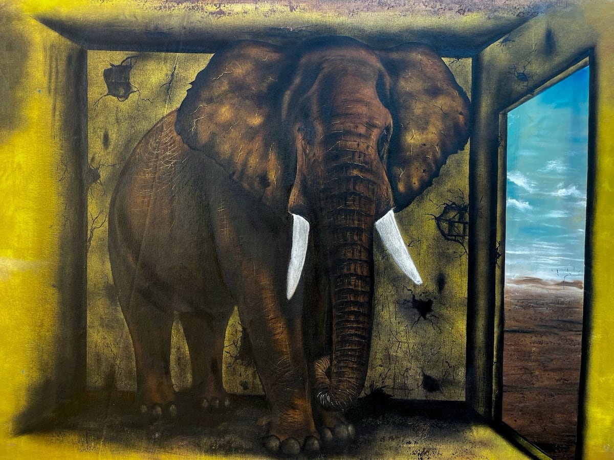 The Elephant in the Room