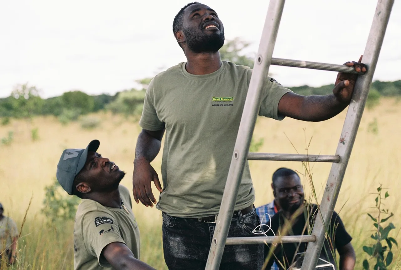 Keeping elephants out of villages without harm