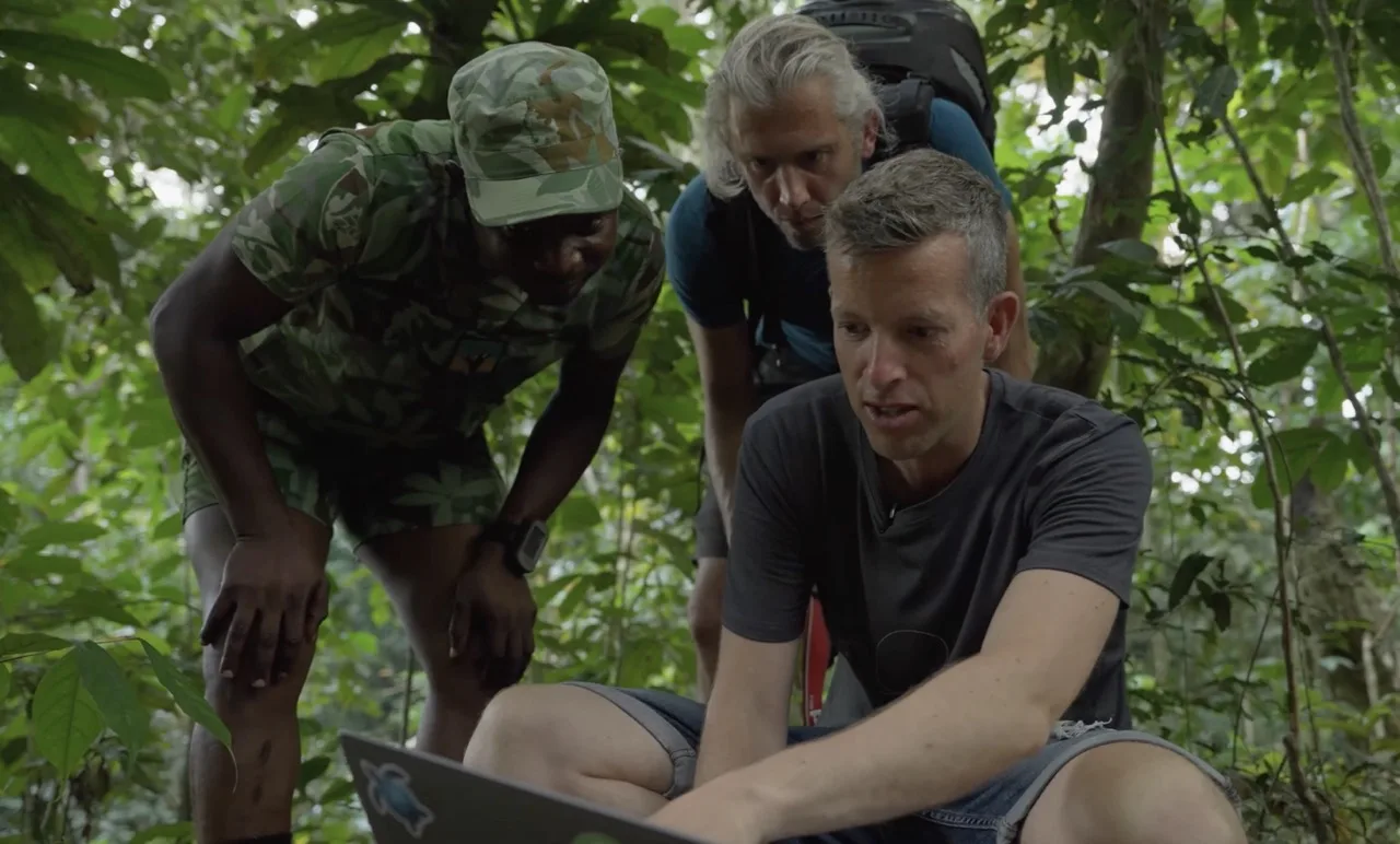 Real-time biodiversity monitoring where no network reaches